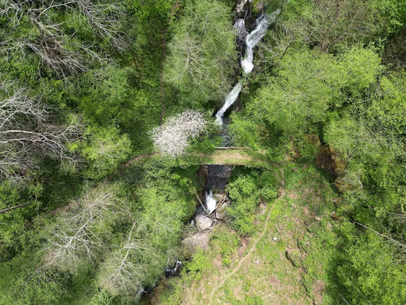 Adına türküler yakılan Ağasar Deresi keşfedilmeyi bekliyor

