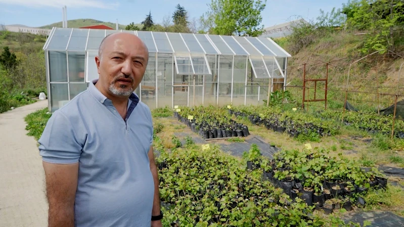 Bu proje üzüm çeşitlerini eksi 35 dereceye kadar dayanıklı hale getirecek
