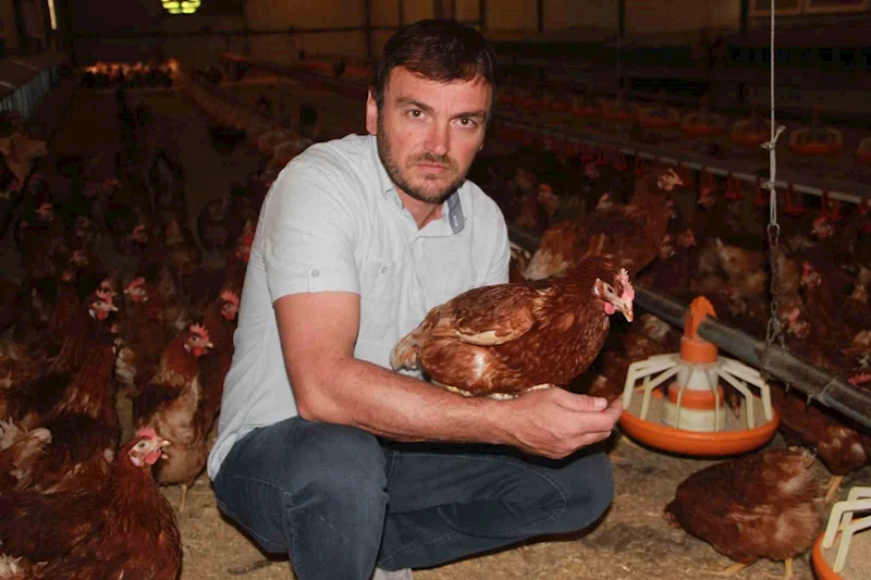 Ordu’da yumurta üretimi yıllık 40 milyonu aştı
