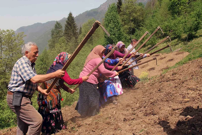 Giresun’un Çanakçı ilçesinde asırlık imece geleneği yaşatılıyor
