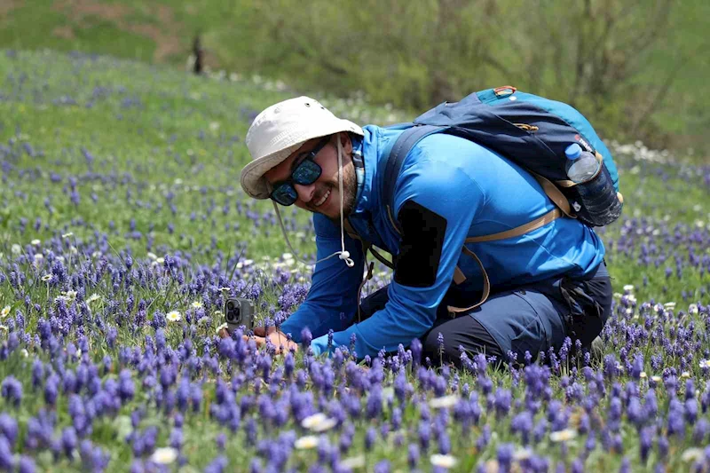 Gümüşhane’de mavi sümbüller arasında doğa yürüyüşü
