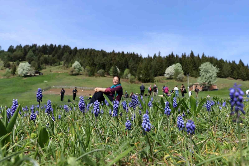 Gümüşhane’de mavi sümbüller arasında doğa yürüyüşü
