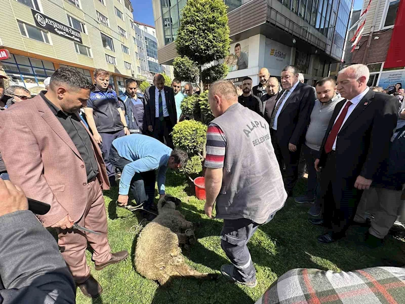 Nuri Tekin mazbatasını aldı
