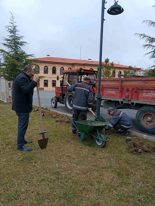 Çorum’da mezarlıklar bayrama hazırlanıyor
