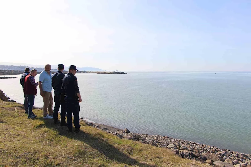 Bu inek ’Ferdinand’ kadar şanslı olamadı
