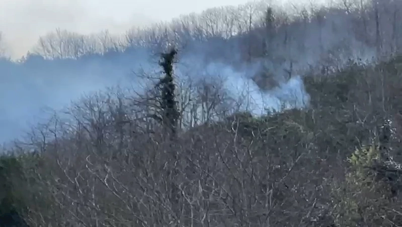 Rize’deki anız yangınını söndürme çalışmaları sürüyor

