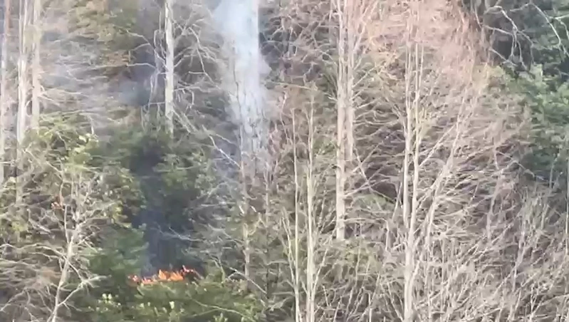 Rize’deki anız yangınını söndürme çalışmaları sürüyor
