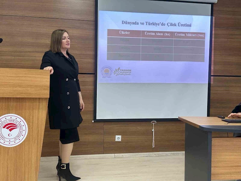Samsun’da üreticilere çilek yetiştiriciliğinin incelikleri anlatıldı
