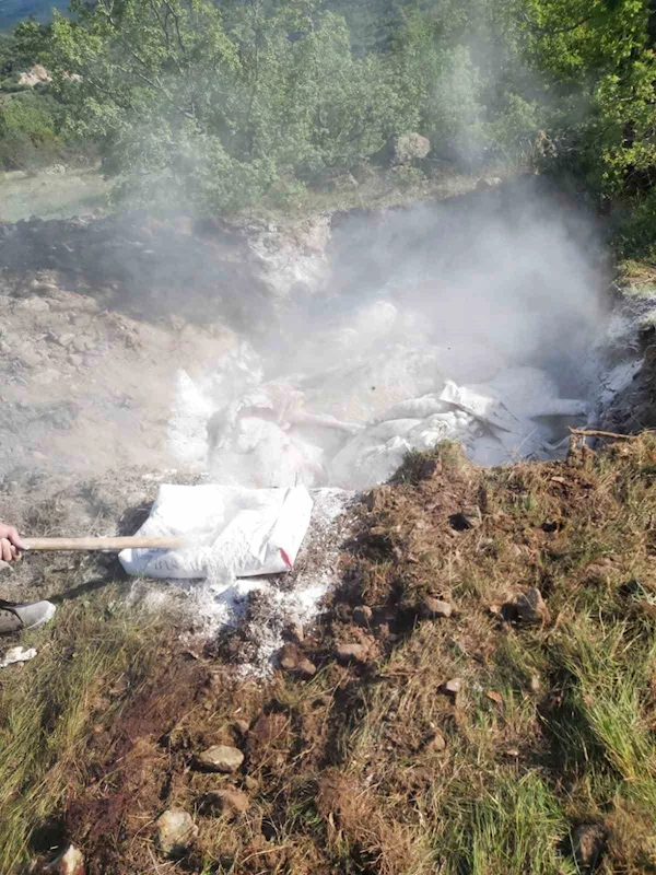 Yıldırım düşen ahırda 7 inek telef oldu
