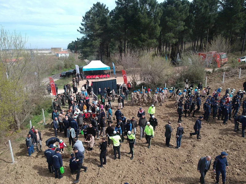 Sinop’ta 300 fidan toprakla buluştu
