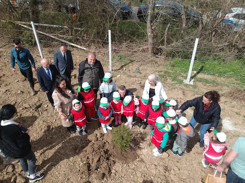 Sinop’ta 300 fidan toprakla buluştu
