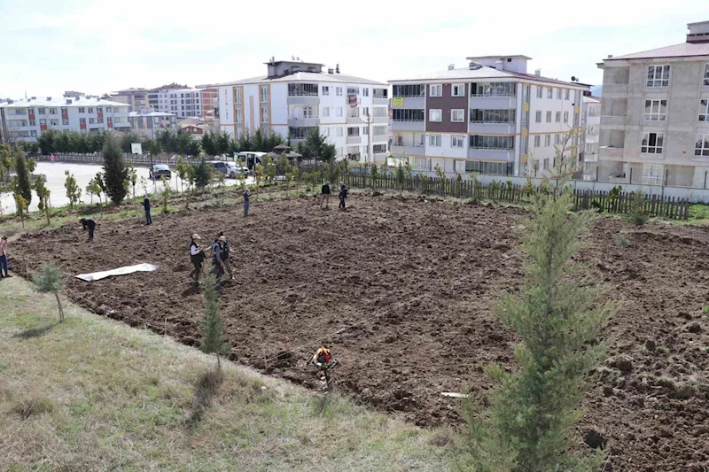 ’Okuldaki Çiftlik Projesi’: Meyve fidanları okul bahçesine dikildi
