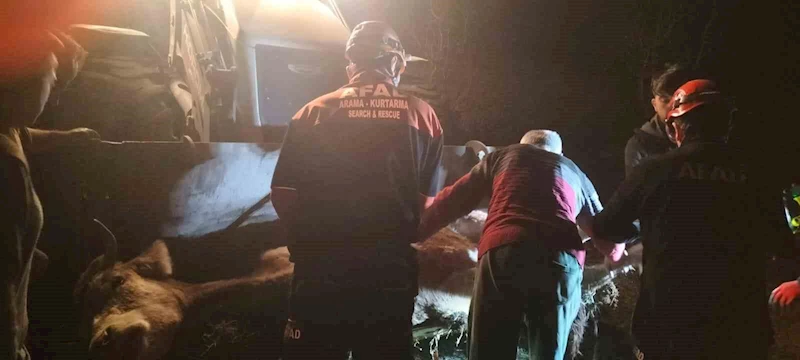 Dere yatağına düşerek mahsur kalan inek kurtarıldı
