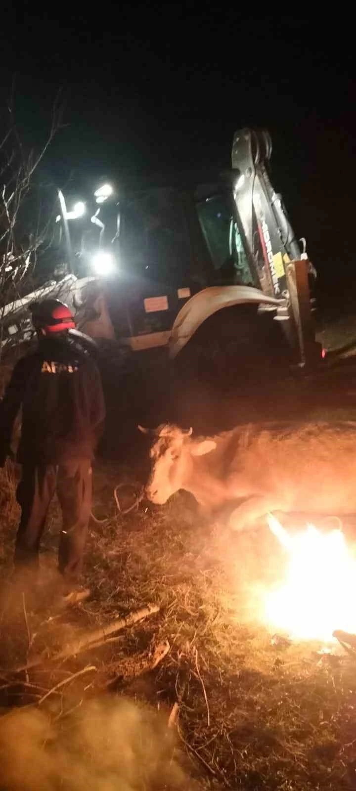 Dere yatağına düşerek mahsur kalan inek kurtarıldı
