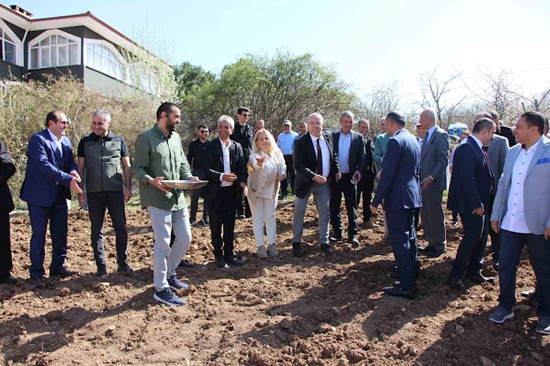 Amasya Üniversitesi’nden kenevir yetiştiriciliğine destek
