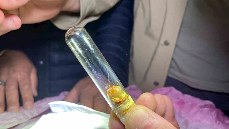 Hopa’da Sakal-ı Şerif ziyarete açıldı
