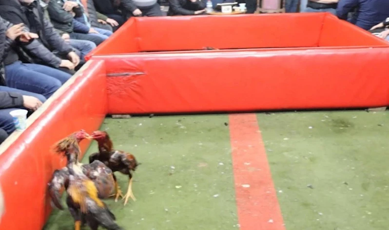 Kumar oynamaktan 41 kişiye 673 bin TL idari para cezası uygulandı
