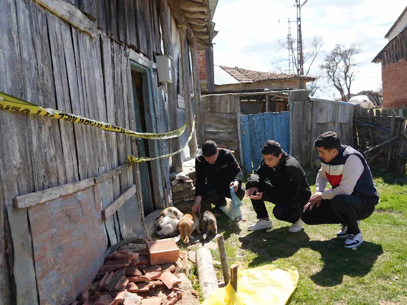 Evinde baygın halde bulundu, beslediği 36 kedisi sahipsiz kaldı
