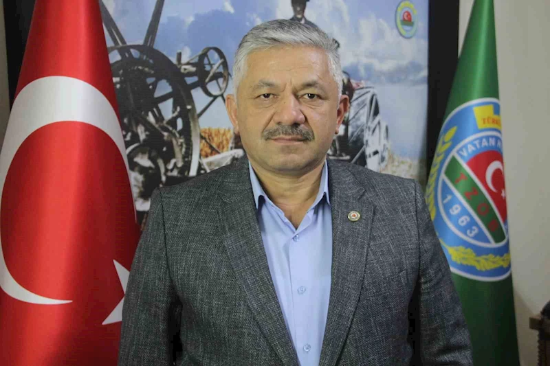 Fındıkta ’külleme ve kozalak akarı’ tehdidi
