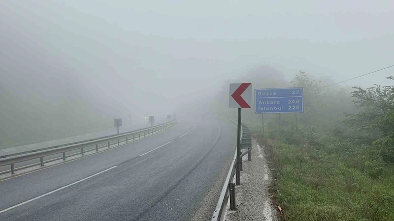 Düzce-Zonguldak yolunda yoğun sis
