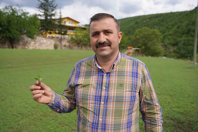 Türkülere konu olan madımağı ticarileştirdi
