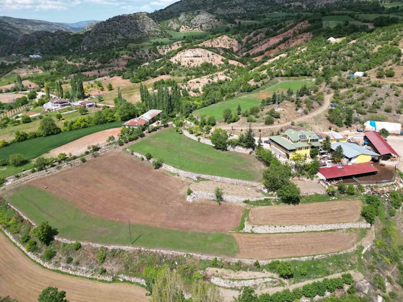 Türkülere konu olan madımağı ticarileştirdi
