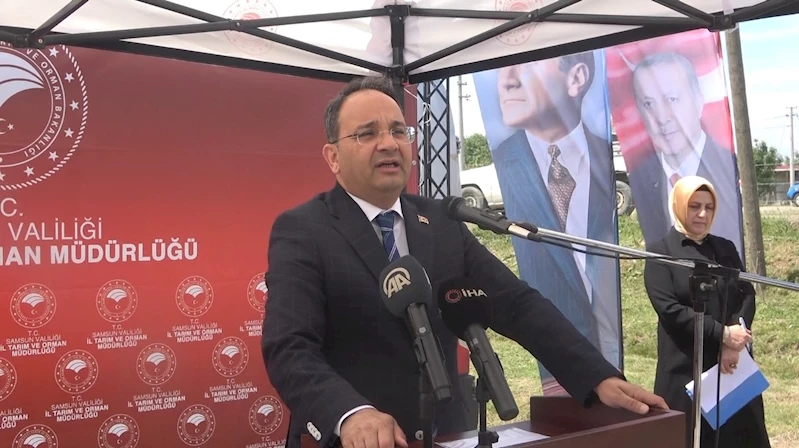 Bafra Ovası’nda “10. Çeltik Ekim Günü”
