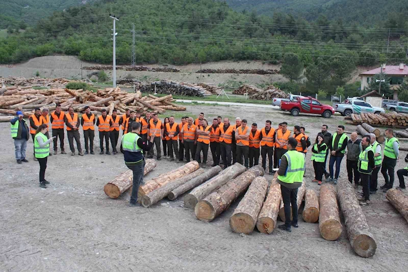 Ormanda üretim-standardizasyon eğitimi

