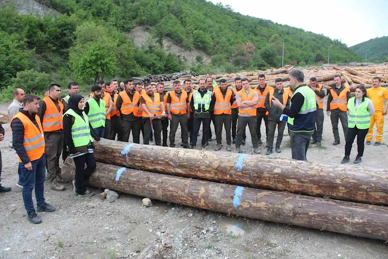 Ormanda üretim-standardizasyon eğitimi
