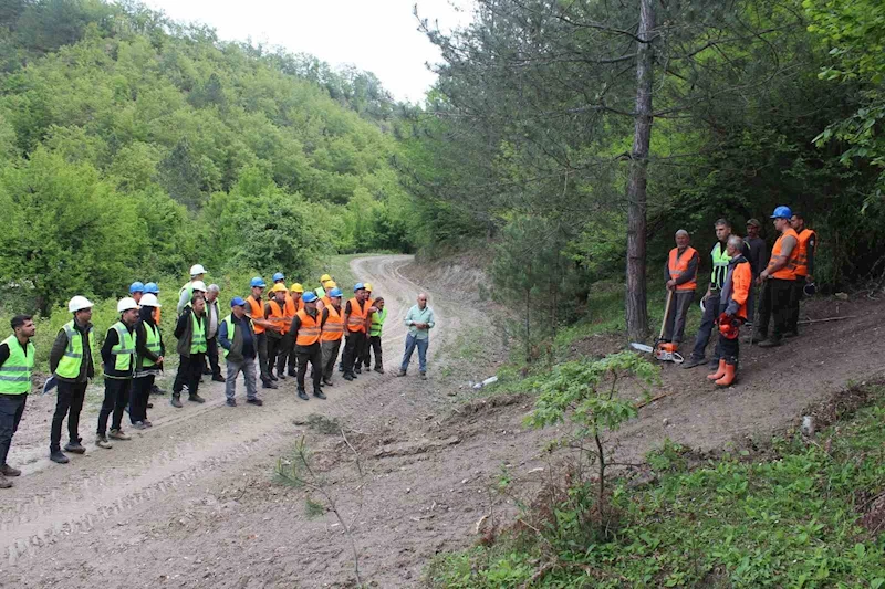 Ormanda üretim-standardizasyon eğitimi
