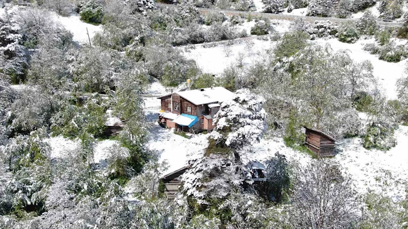 Mayıs ayında yağan kar Ilgaz Dağı’nı beyaza bürüdü
