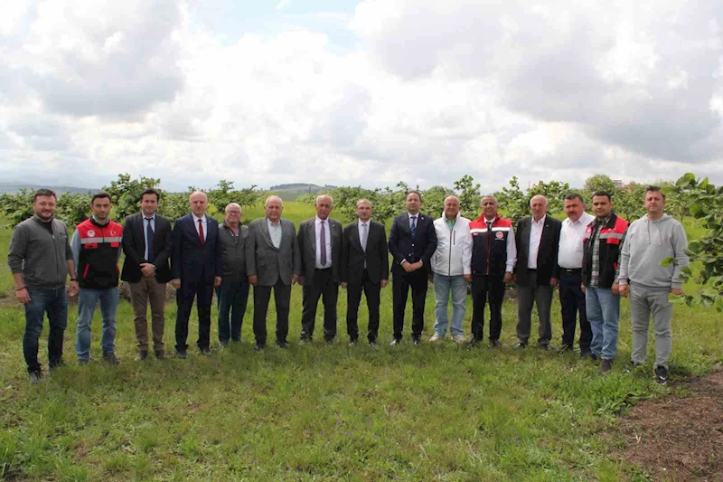 Fındıkta verimi 5 kata kadar arttıracak proje meyvesini veriyor
