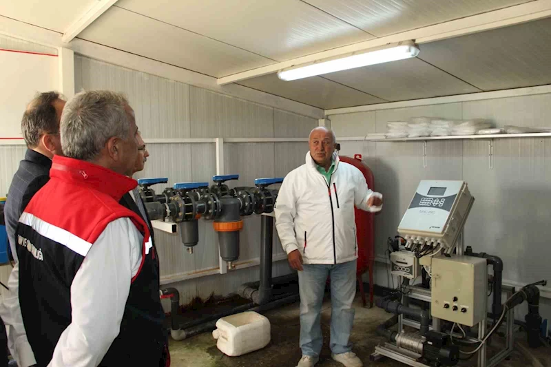 Fındıkta verimi 5 kata kadar arttıracak proje meyvesini veriyor
