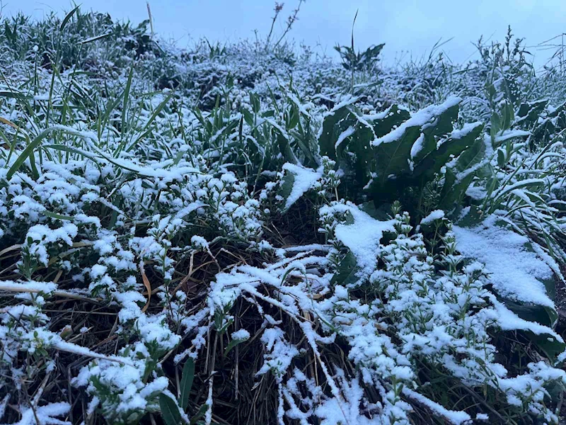 Gümüşhane’de mayıs ayında sürpriz kar yağışı
