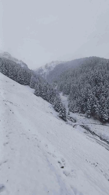 Balı ile ünlü Anzer Yaylası’na çıkan vatandaşların kar şaşkınlığı
