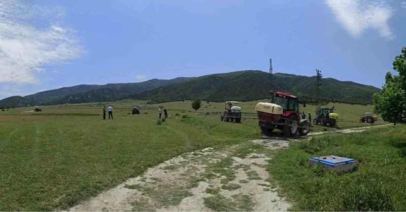 Amasya’da çekirge popülasyonu artan Kertme köyünün merasında ilaçlama yapıldı
