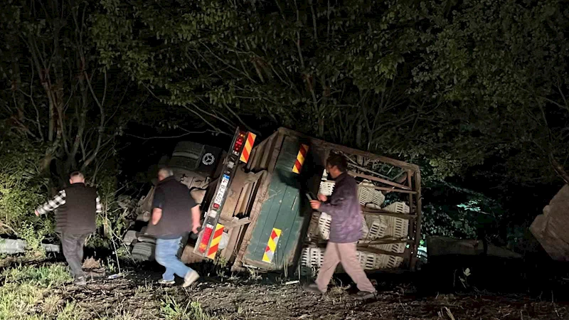 Tavuk yüklü kamyon uçuruma devrildi, yüzlerce tavuk telef oldu: 1 yaralı
