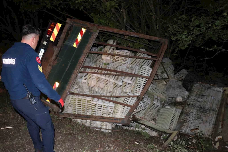 Tavuk yüklü kamyon uçuruma devrildi, yüzlerce tavuk telef oldu: 1 yaralı
