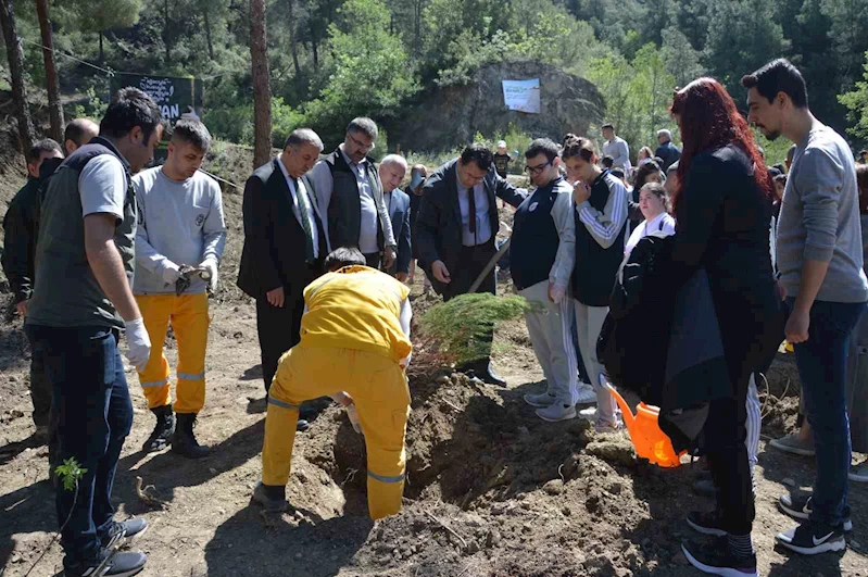 Çöp toplayıp fidan diktiler
