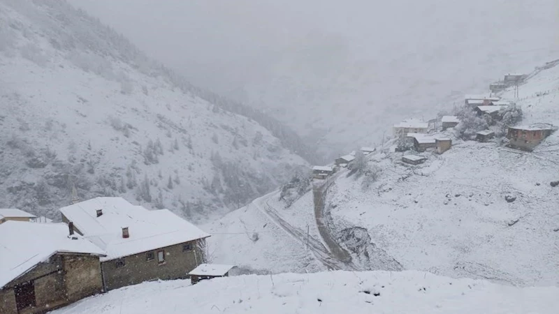 Mayıs karı Anzer Balı’nın üretimine yarayacak
