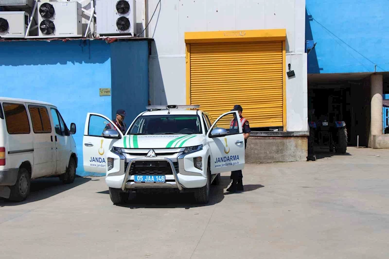 Amasya’da büyükbaş hayvana vahşet: 5 gözaltı
