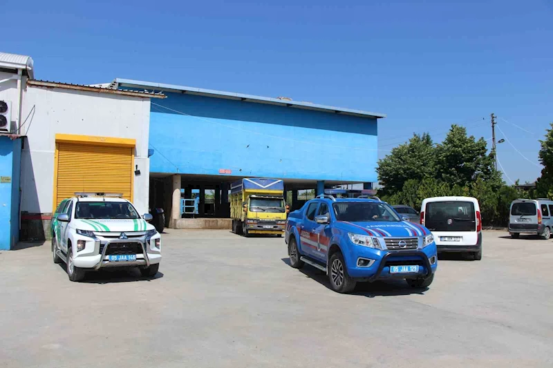 Amasya’da büyükbaş hayvana vahşet: 5 gözaltı
