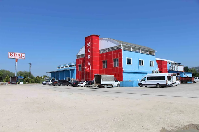 Amasya’da büyükbaş hayvana vahşet: 5 gözaltı
