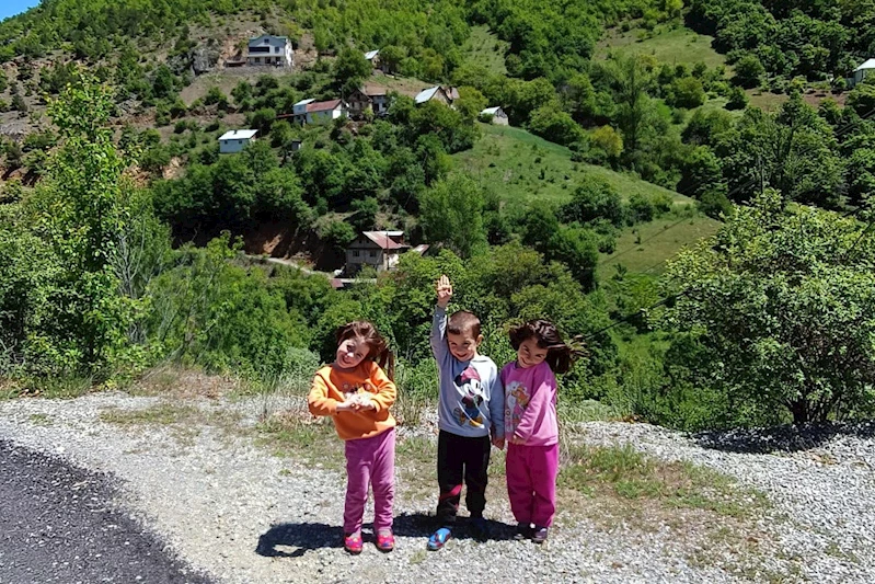 Avrupa’nın en büyük kelebek türü Gümüşhane’de görüntülendi
