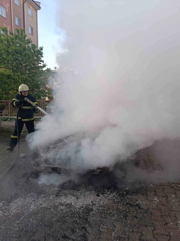 Park halinde alev alev yanarak küle döndü
