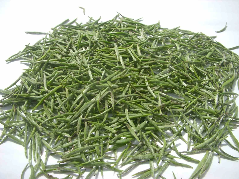 Tomurcuk çayın alım fiyatı 4 bin TL oldu
