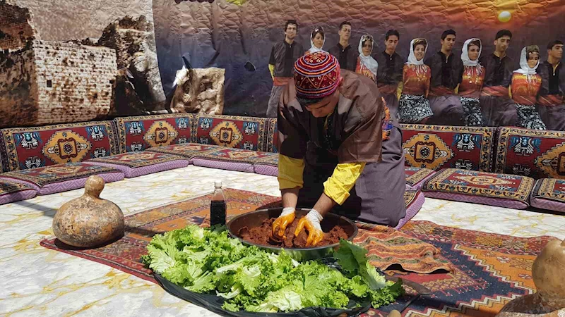 "81 İl Karabük Üniversitesinde Buluşuyor" festivali başladı
