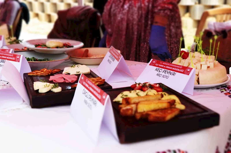 Bu ilçe dünyanın aşçı fabrikası
