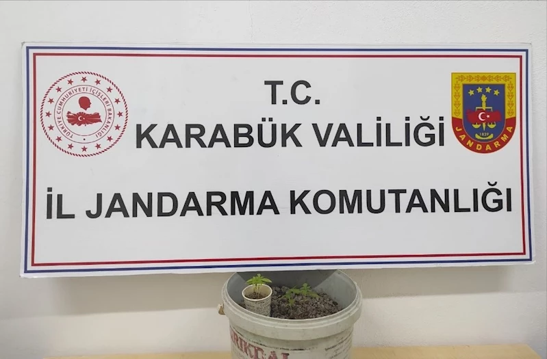 Jandarmadan uyuşturucu operasyonu
