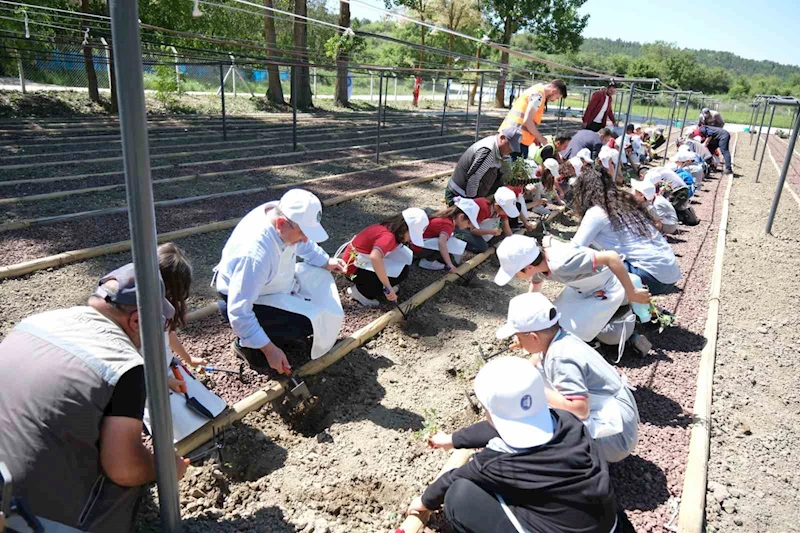 Çorum’da minikler fideleri toprakla buluşturdu

